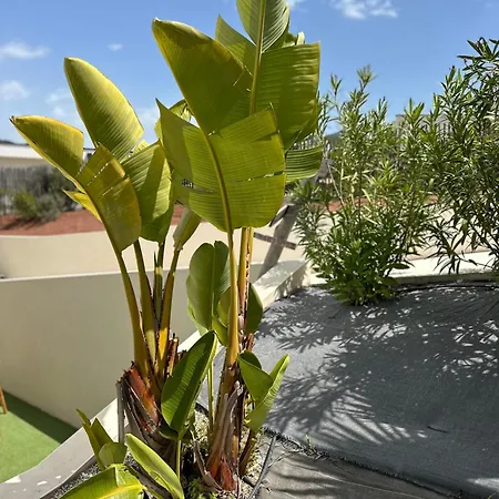 T2 Casa Di Simone Corse Du Sud Apartament Pietrosella