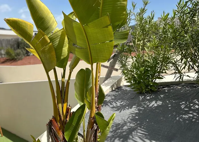 T2 Casa Di Simone Corse Du Sud דירה Pietrosella