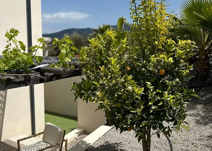 T2 Casa Di Simone Corse Du Sud דירה *